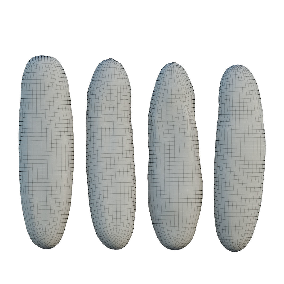 Cucumber 02 3D model_1