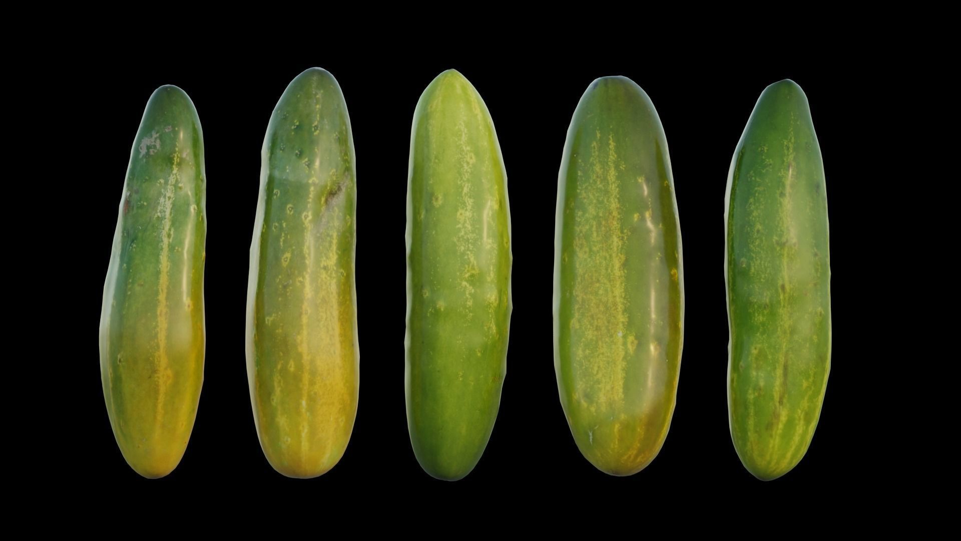 Cucumber 03 3D model_6