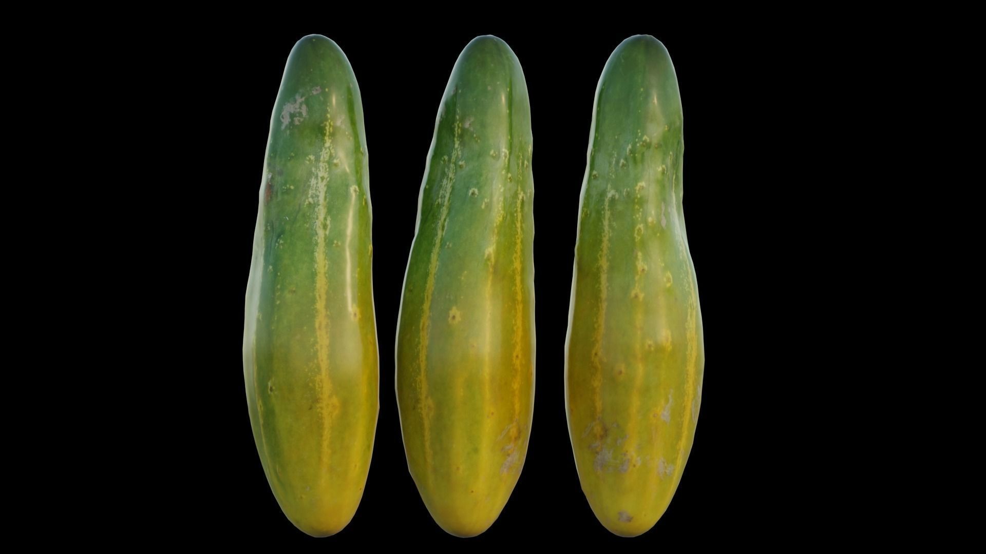 Cucumber 03 3D model_8
