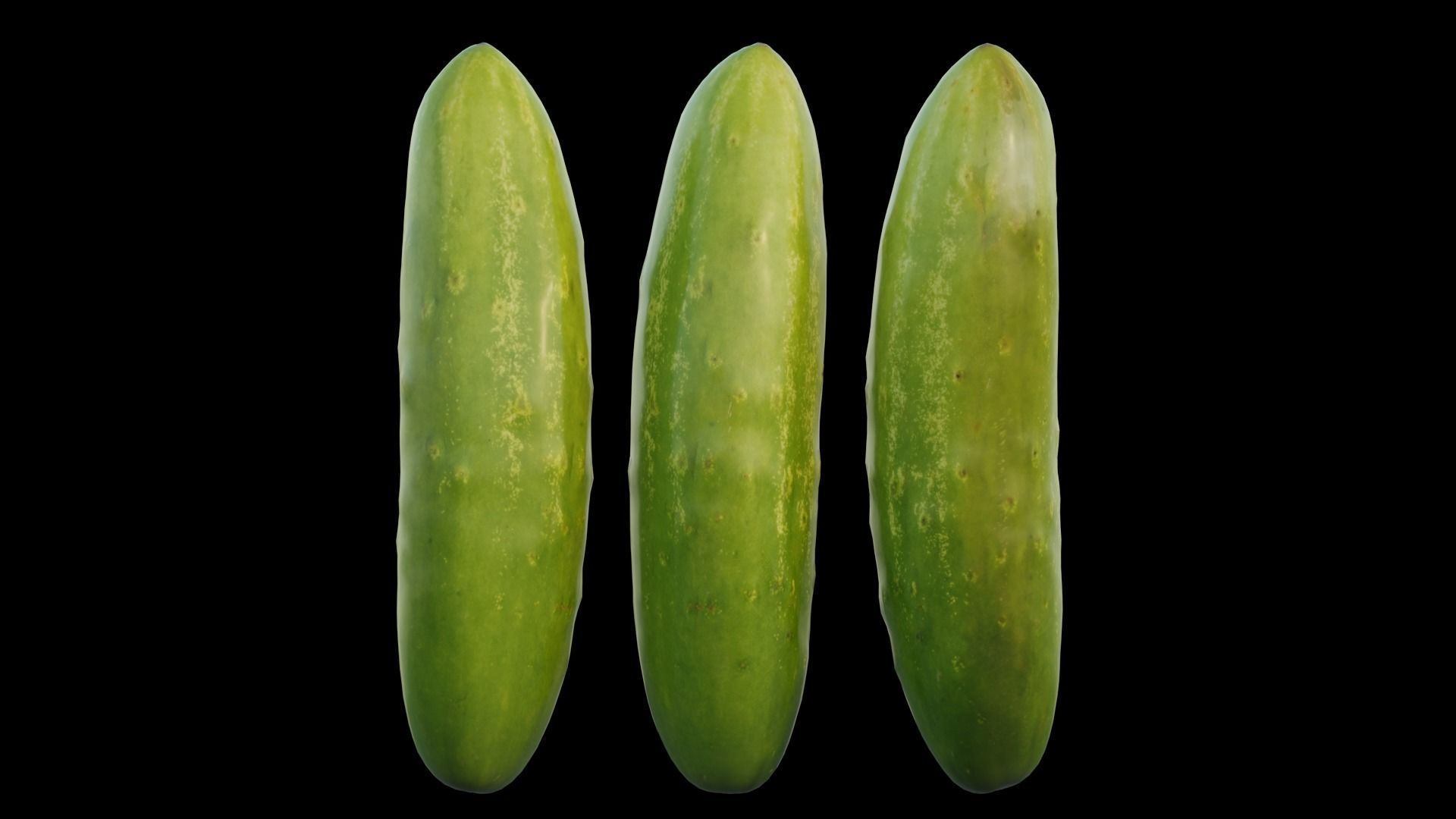 Cucumber 03 3D model_10