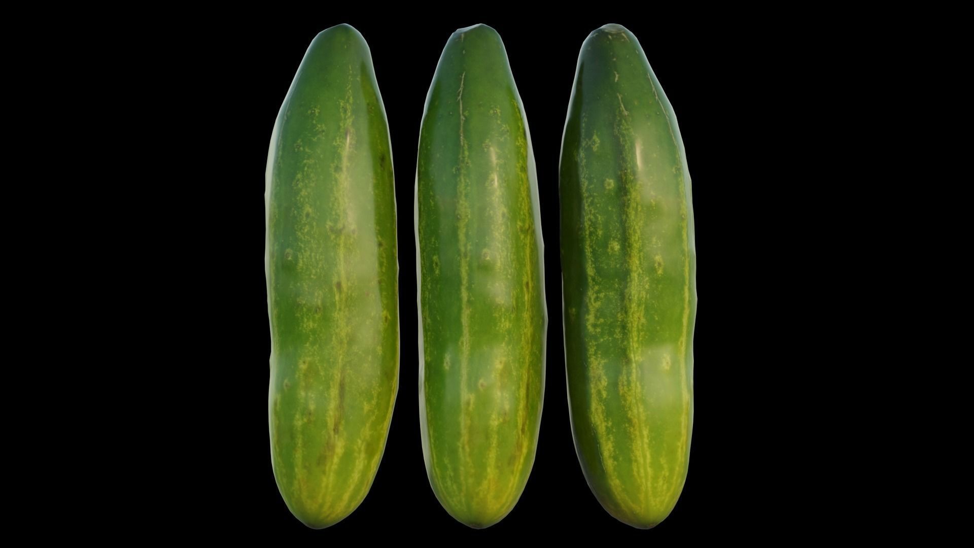 Cucumber 03 3D model_12