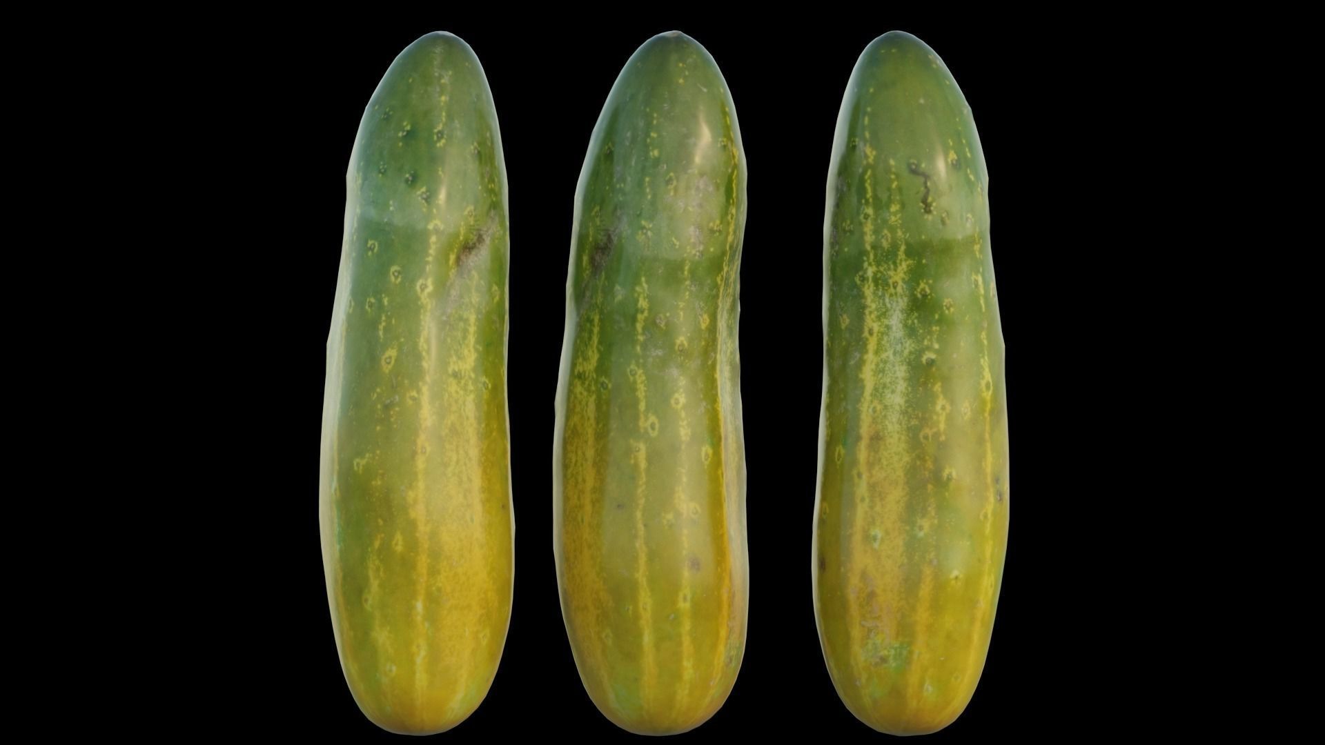 Cucumber 03 3D model_9