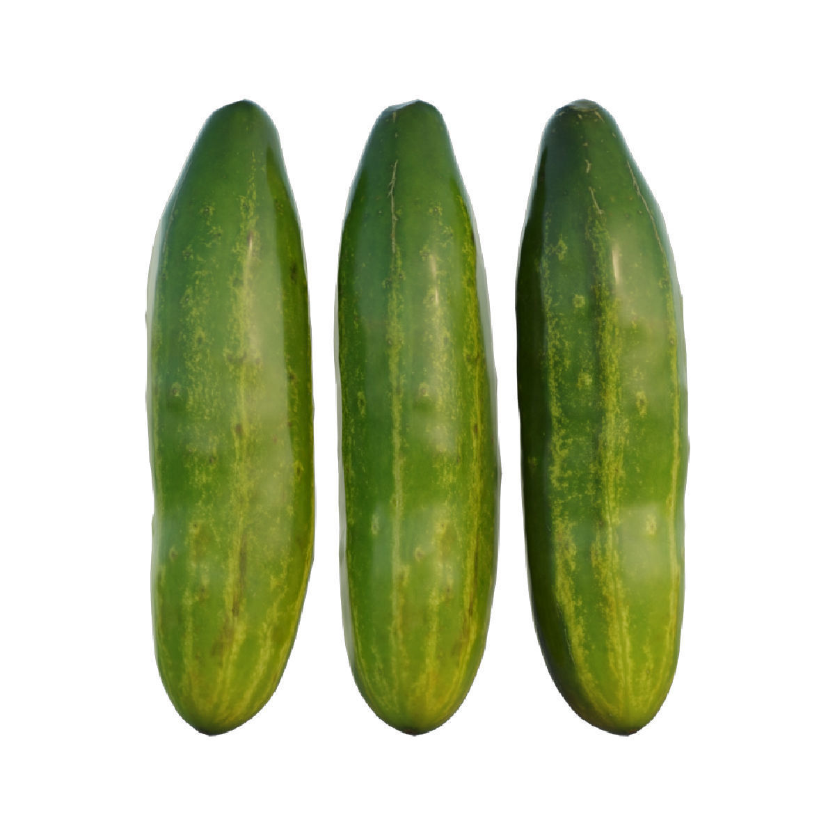 Cucumber 03 3D model_5