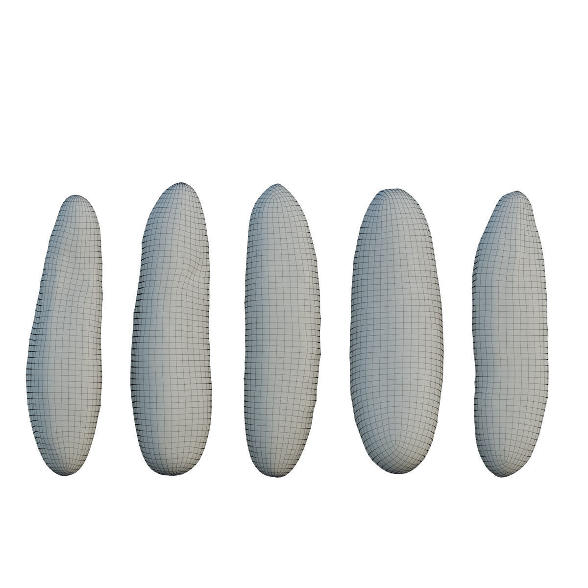 Cucumber 03 3D model_13