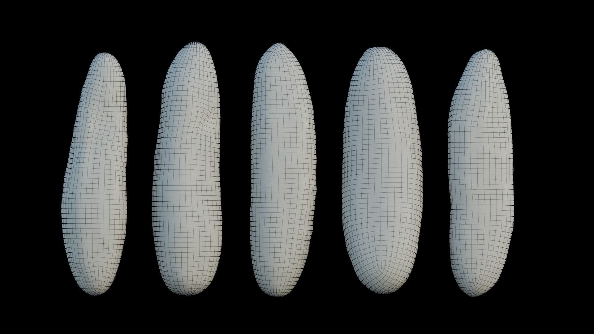 Cucumber 03 3D model_7