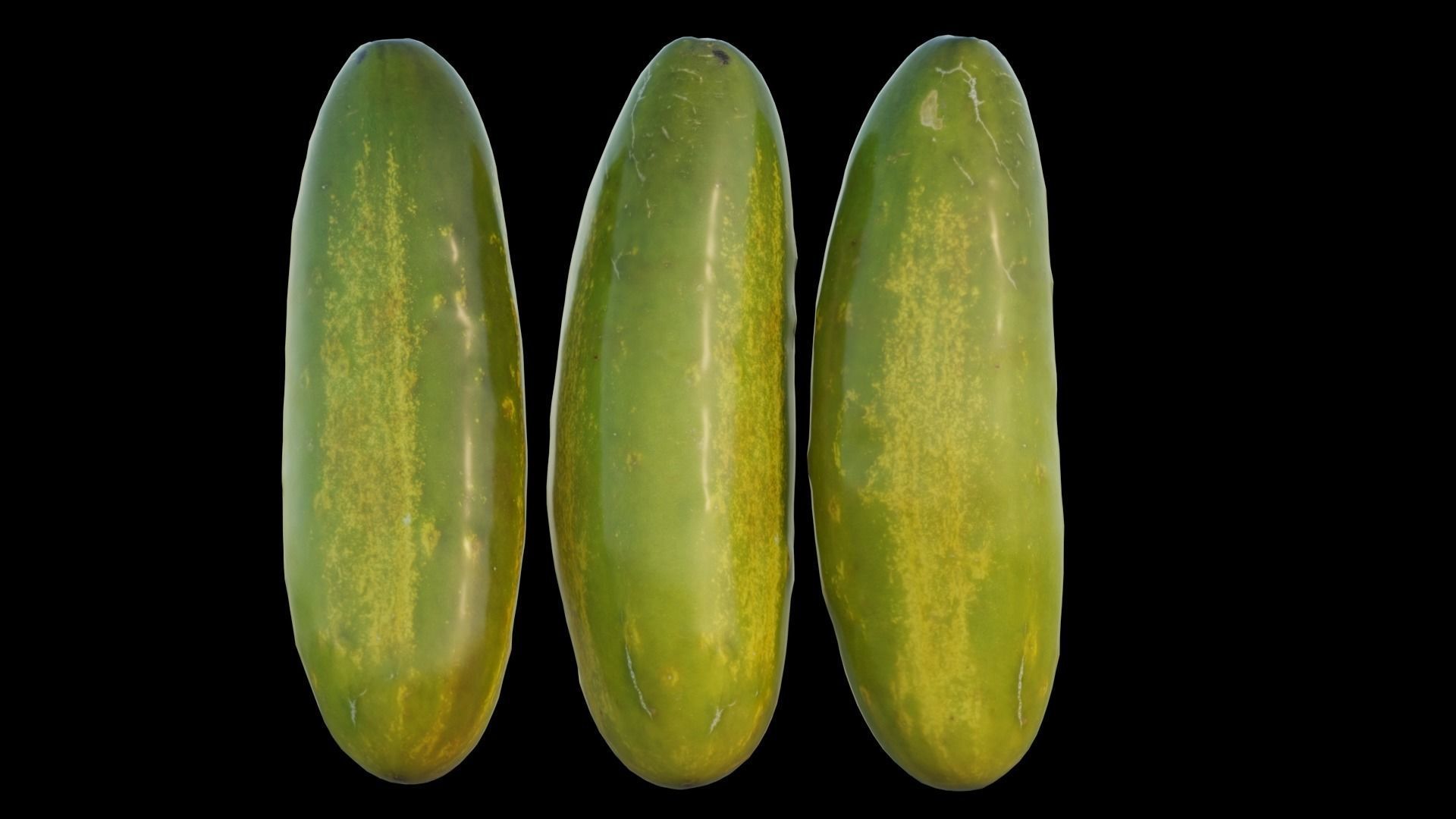 Cucumber 03 3D model_11