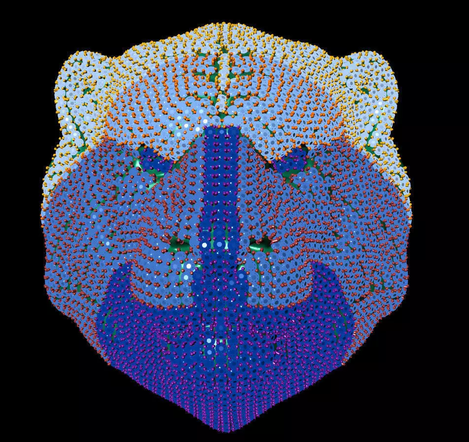 file 3d diamond-studded lion head 3D print model_0
