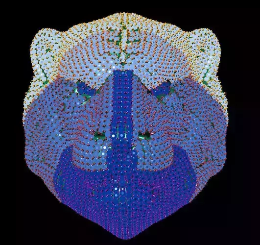 file 3d diamond-studded lion head