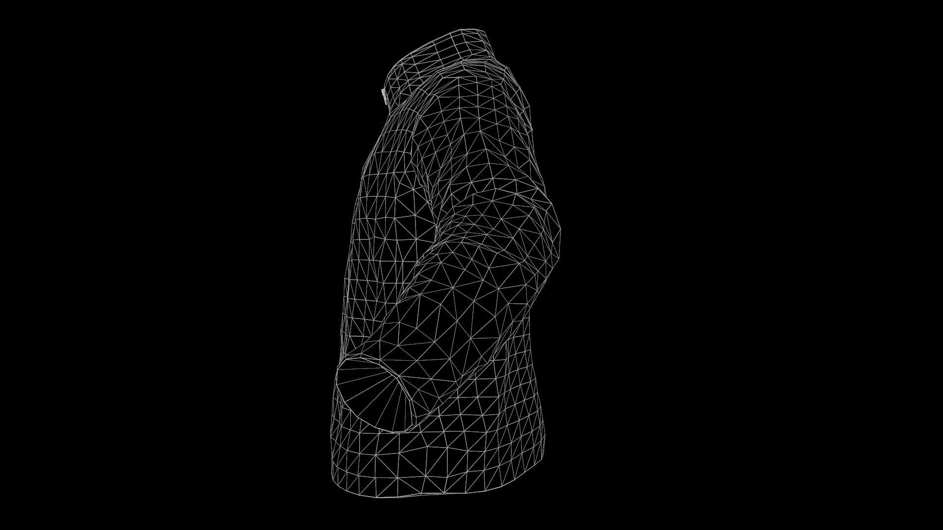 jacket Low-poly 3D model_17