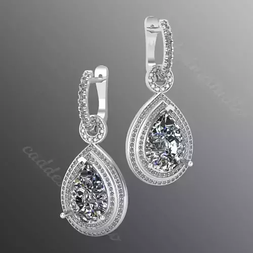Earrings bi24