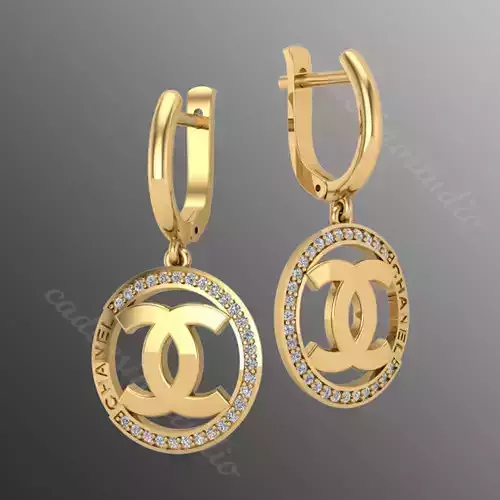 Earrings bi27