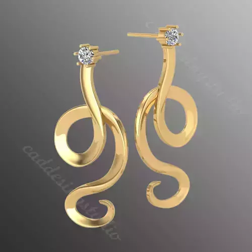 Earrings bi28