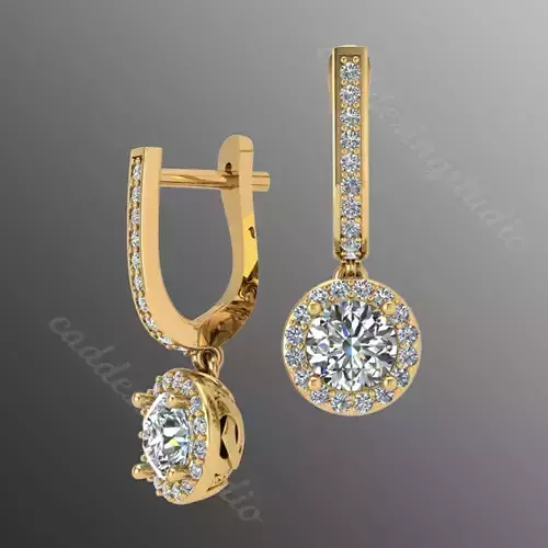 Earrings bi29