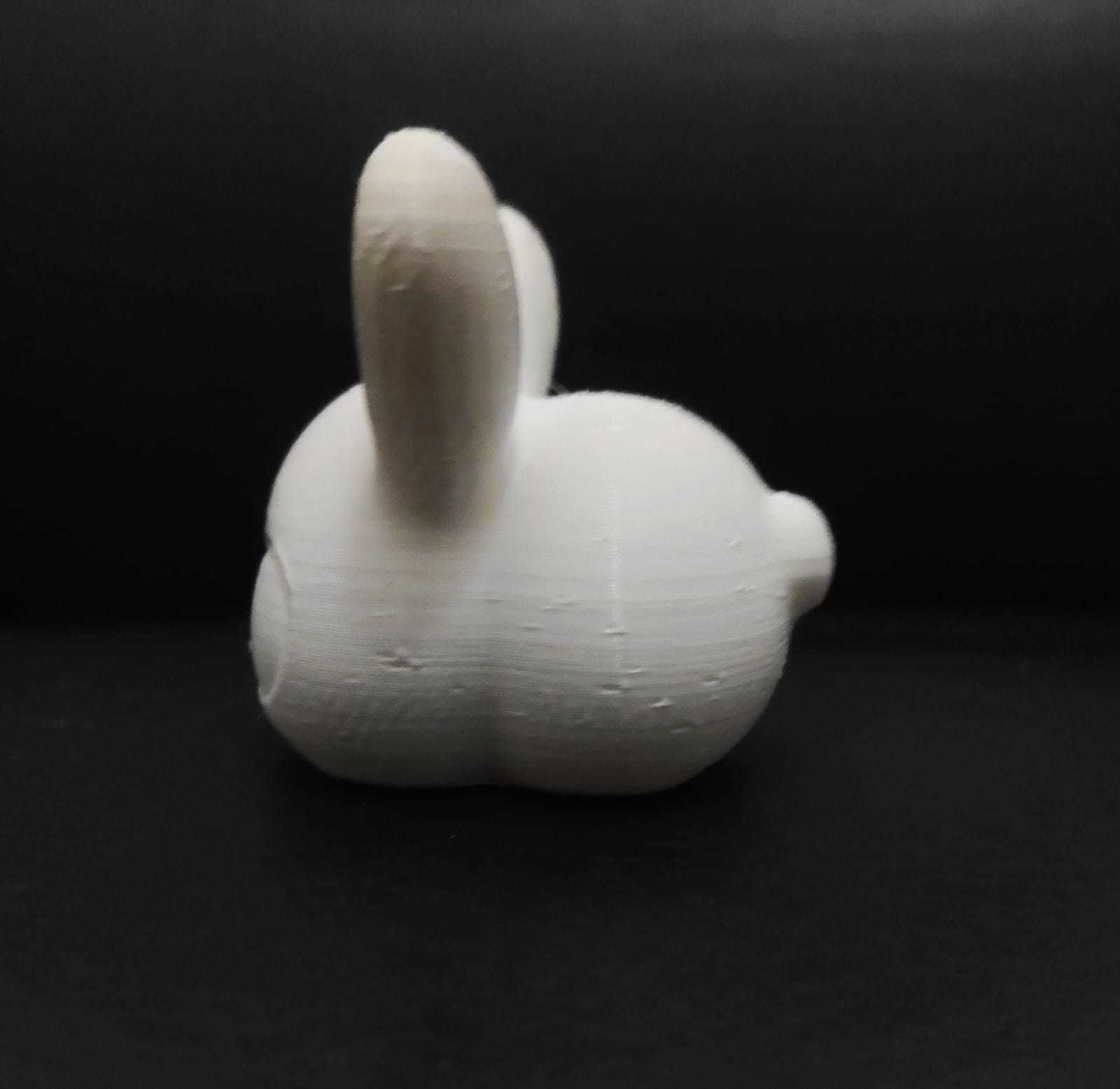 Sweet Bunny 3D print model_6