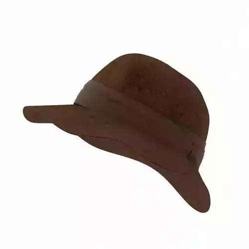 Brown Felt Hat 3D model