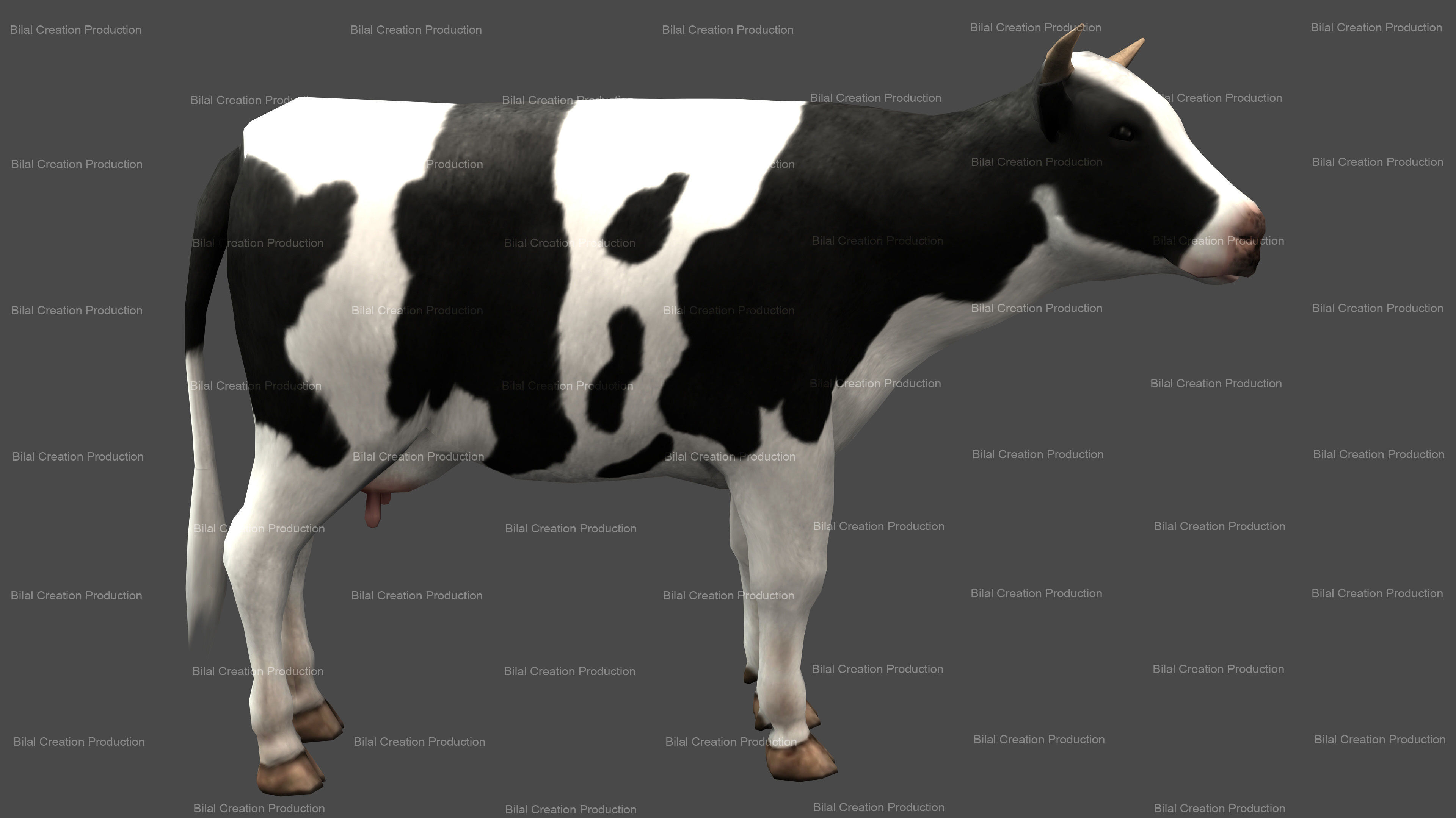 Cow animated 3D model_4