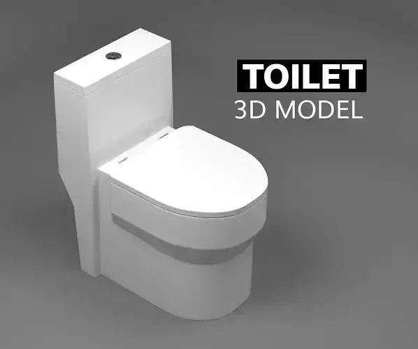 Toilet 3D Model