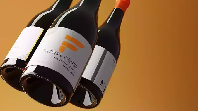 3D Wine  Champagne Glass Bottle