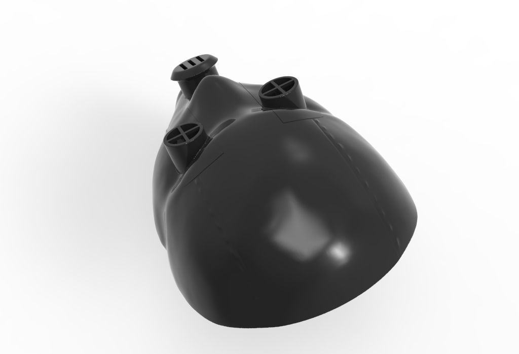 Bols mask -akame ga kill 3D model_28