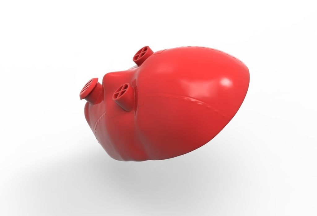 Bols mask -akame ga kill 3D model_39