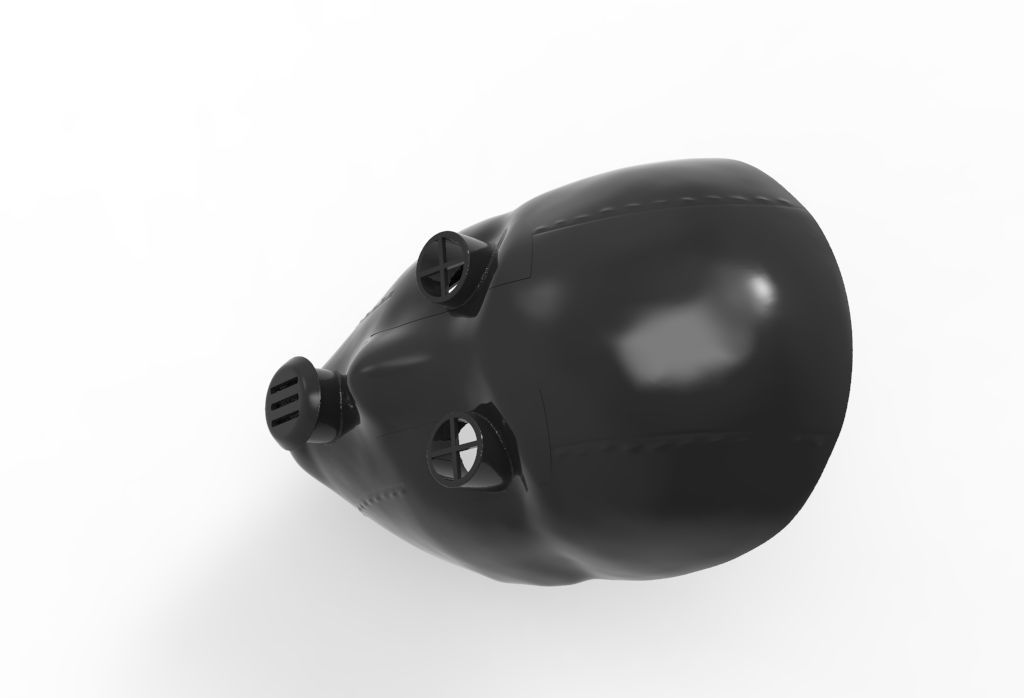 Bols mask -akame ga kill 3D model_23