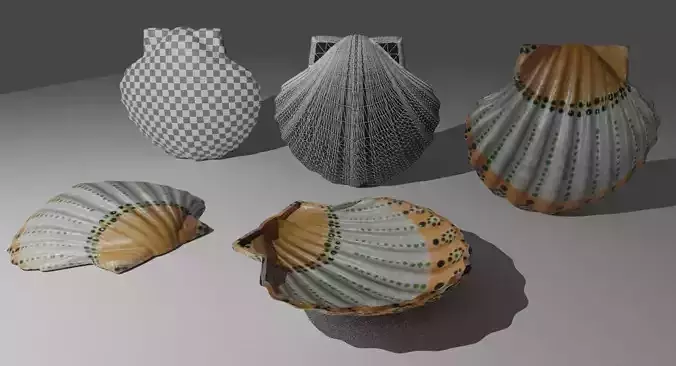 shell soap dish 3D model