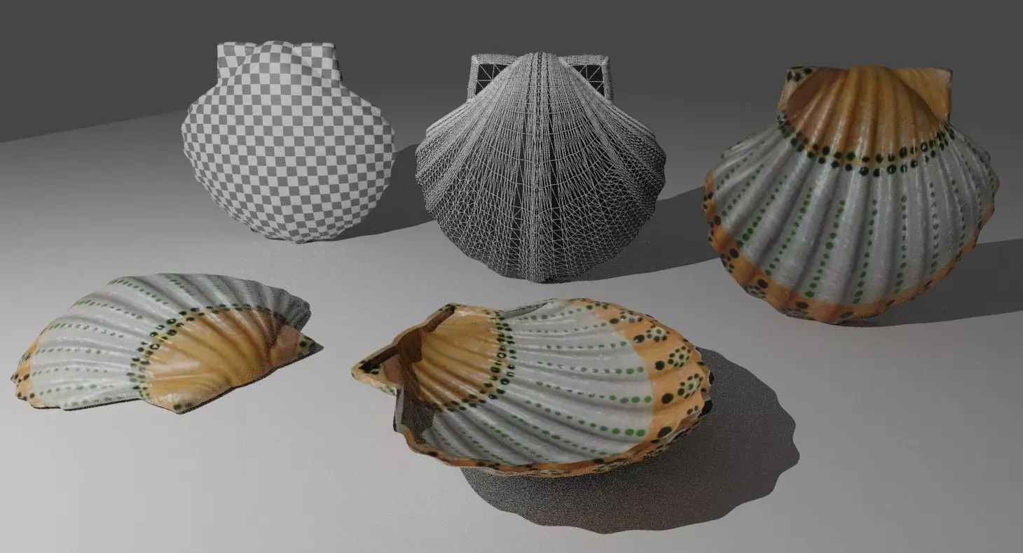 shell soap dish 3D model_0