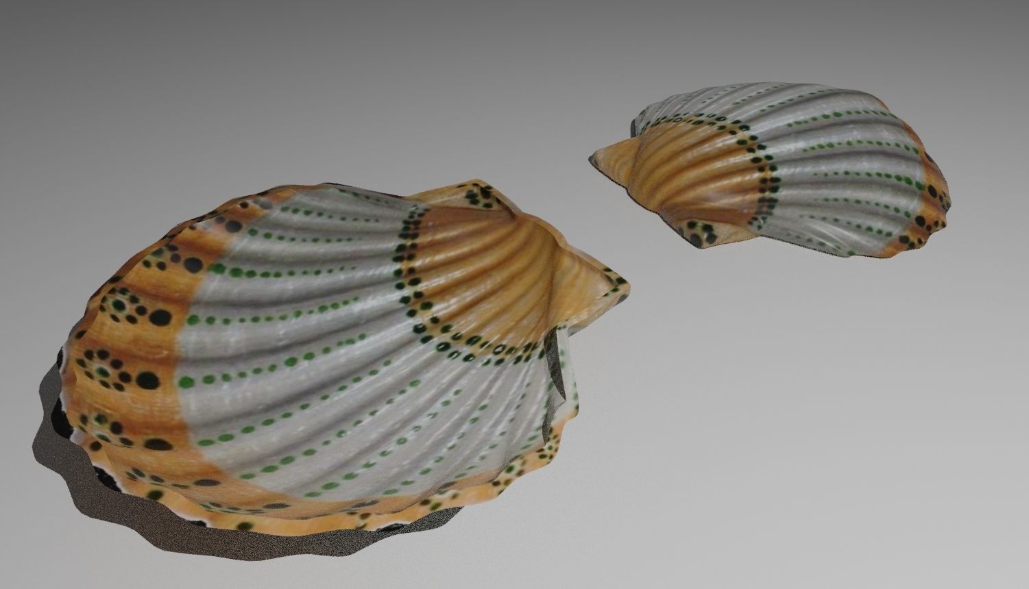 shell soap dish 3D model_1
