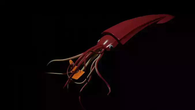 Giant deep sea squid Free 3D model