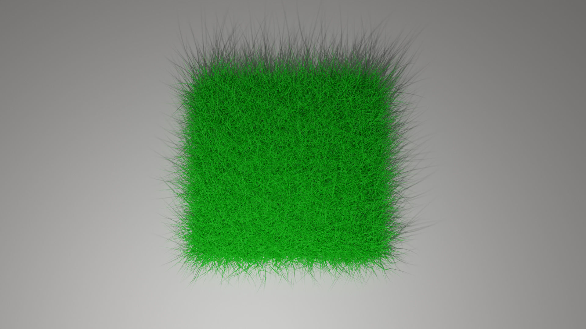 Green Grass 3D model_2