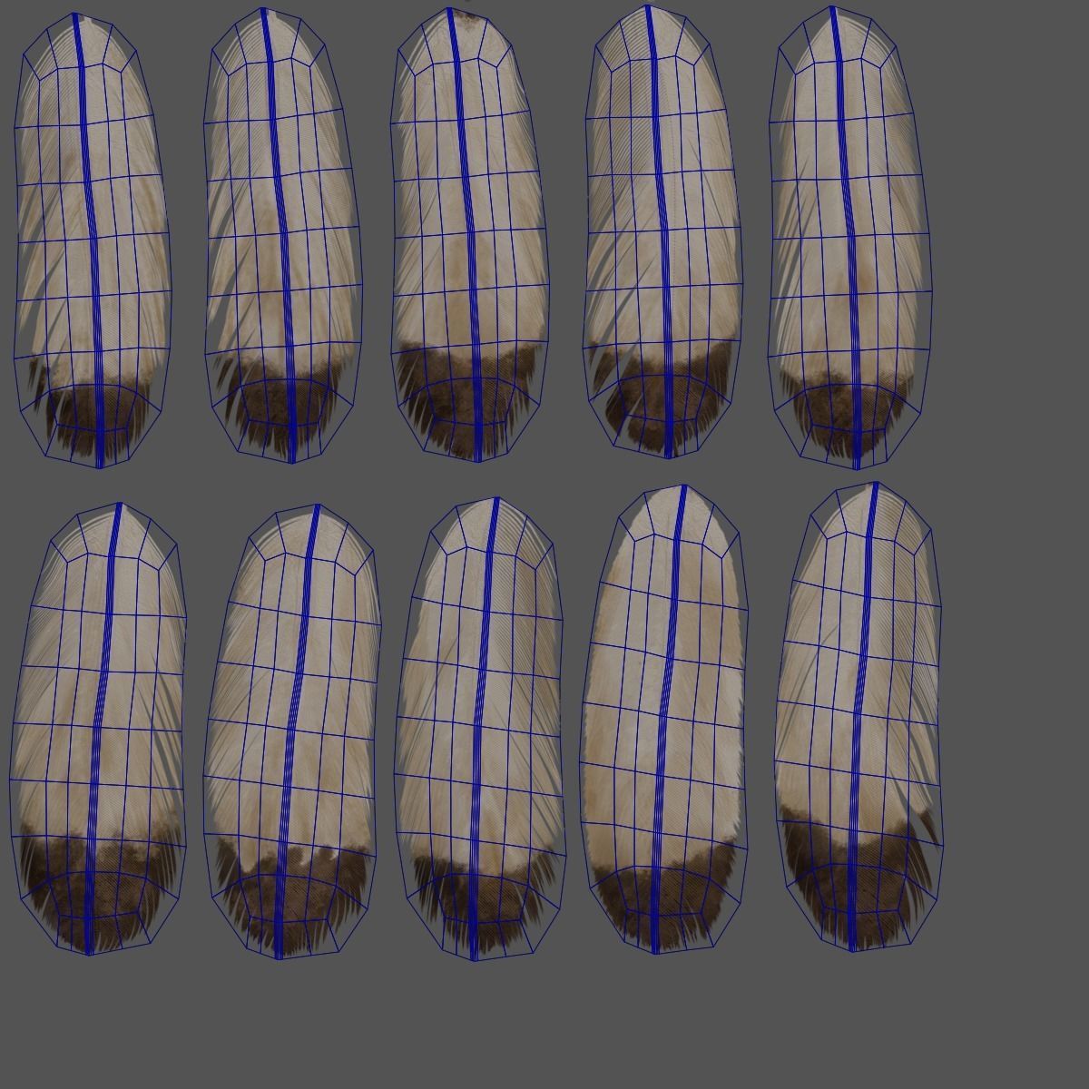 Aquila Nipalensis Animated VFX Grace 3D model_45