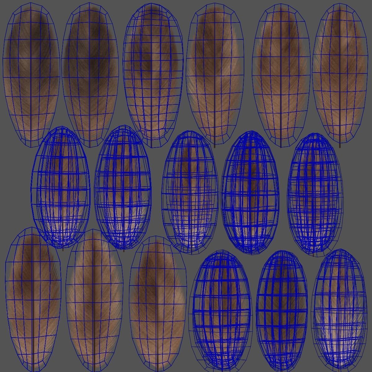 Aquila Nipalensis Animated VFX Grace 3D model_48