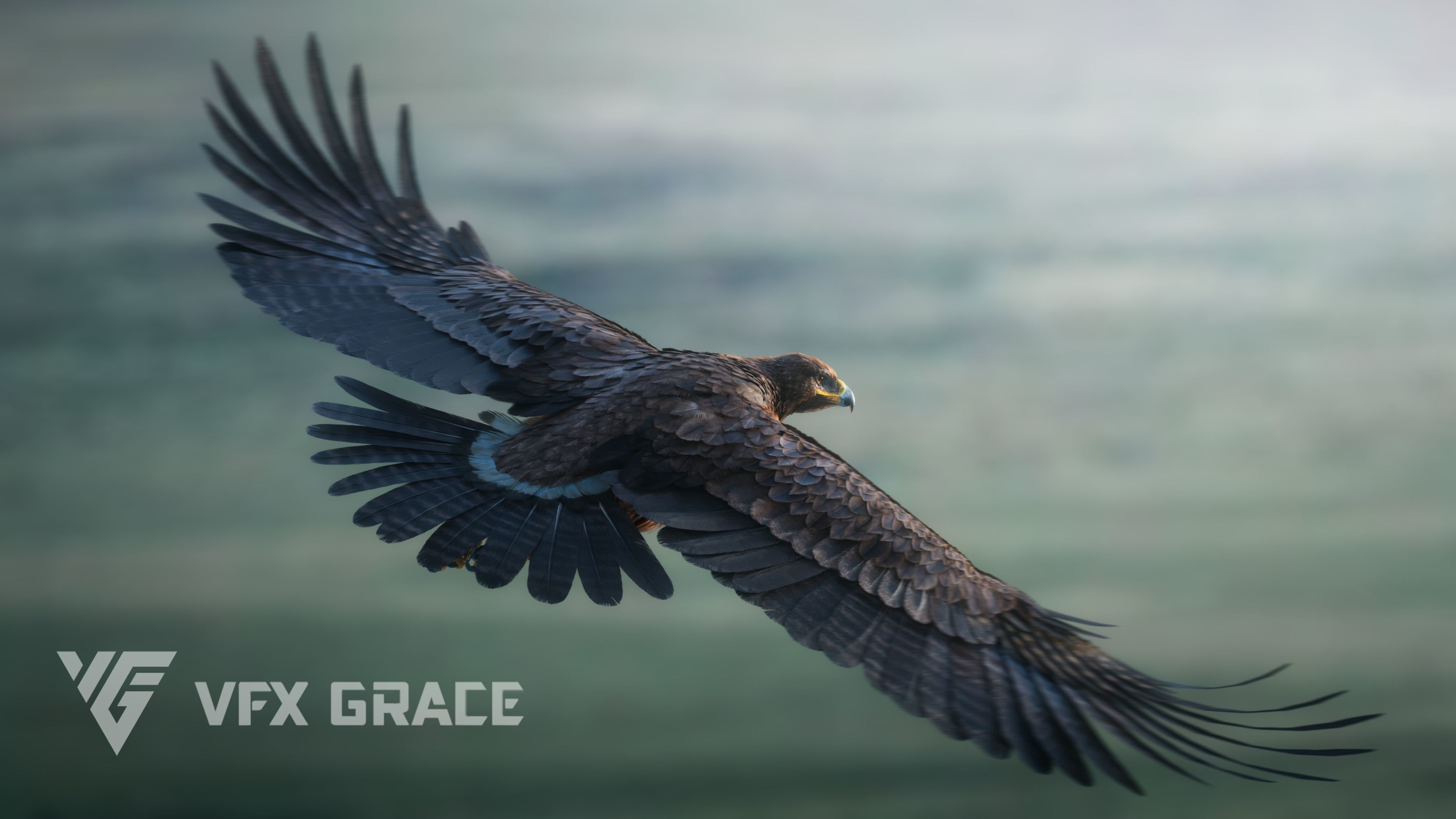 Aquila Nipalensis Animated VFX Grace 3D model_8