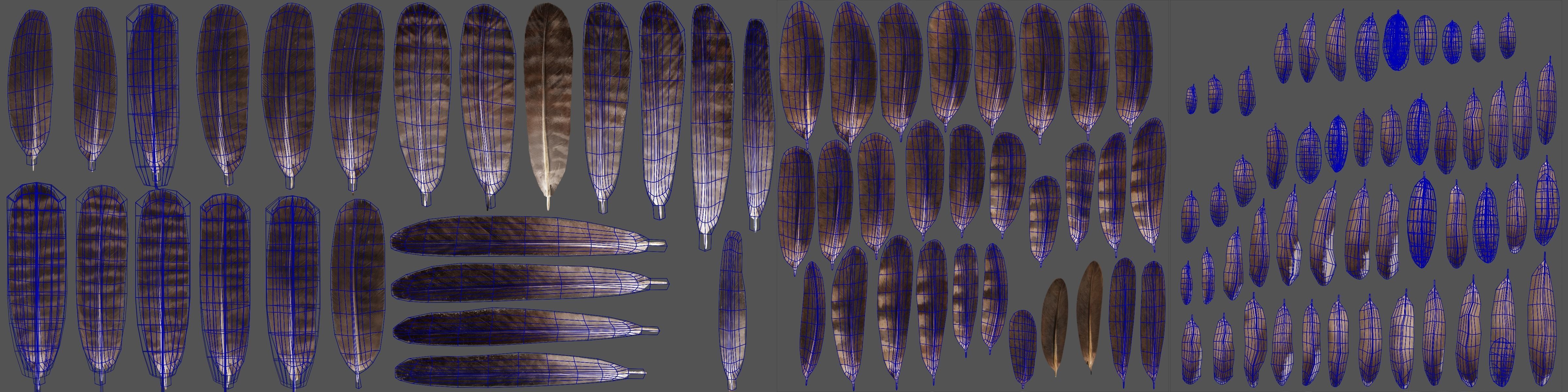 Aquila Nipalensis Animated VFX Grace 3D model_50