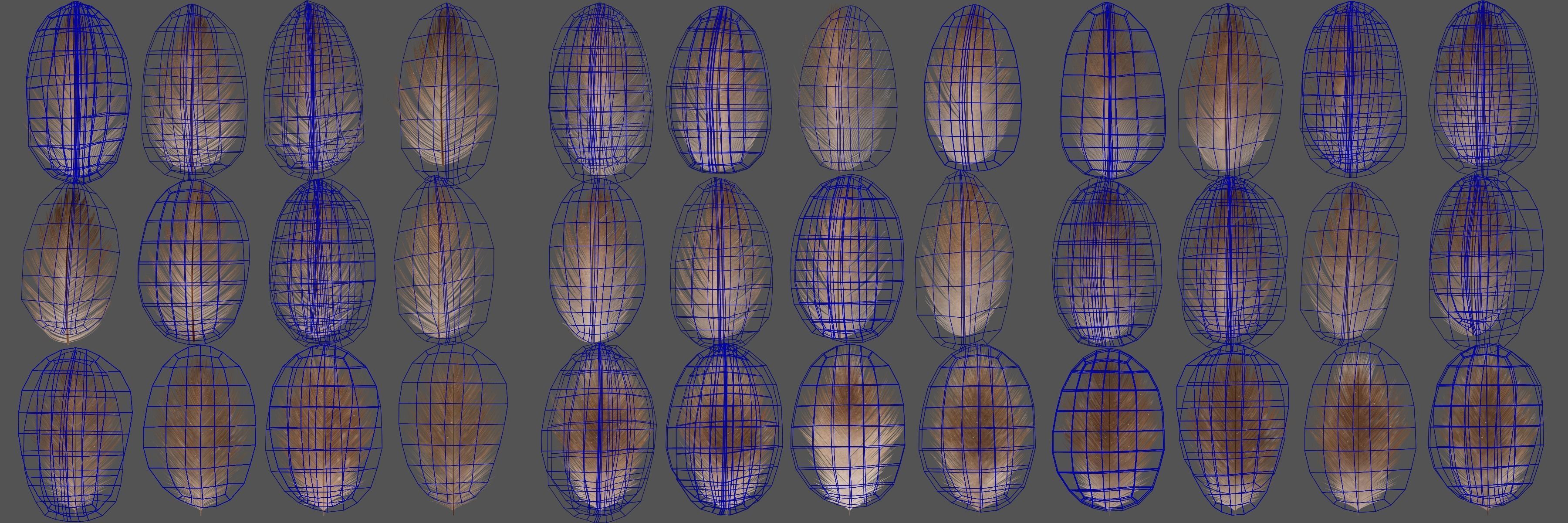 Aquila Nipalensis Animated VFX Grace 3D model_52