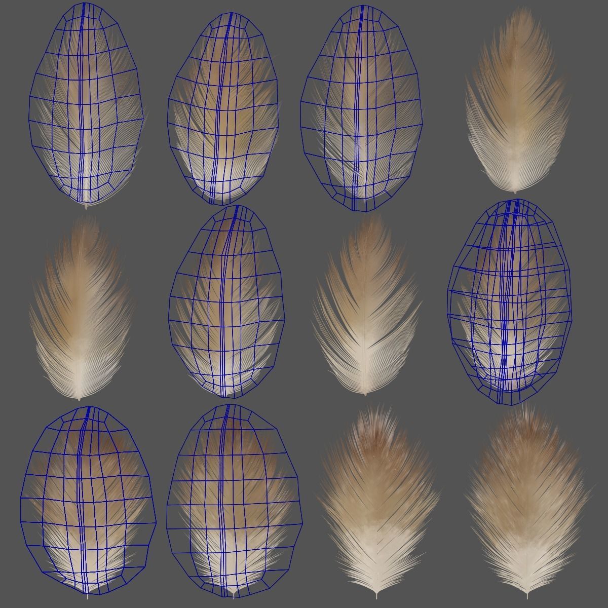 Aquila Nipalensis Animated VFX Grace 3D model_46