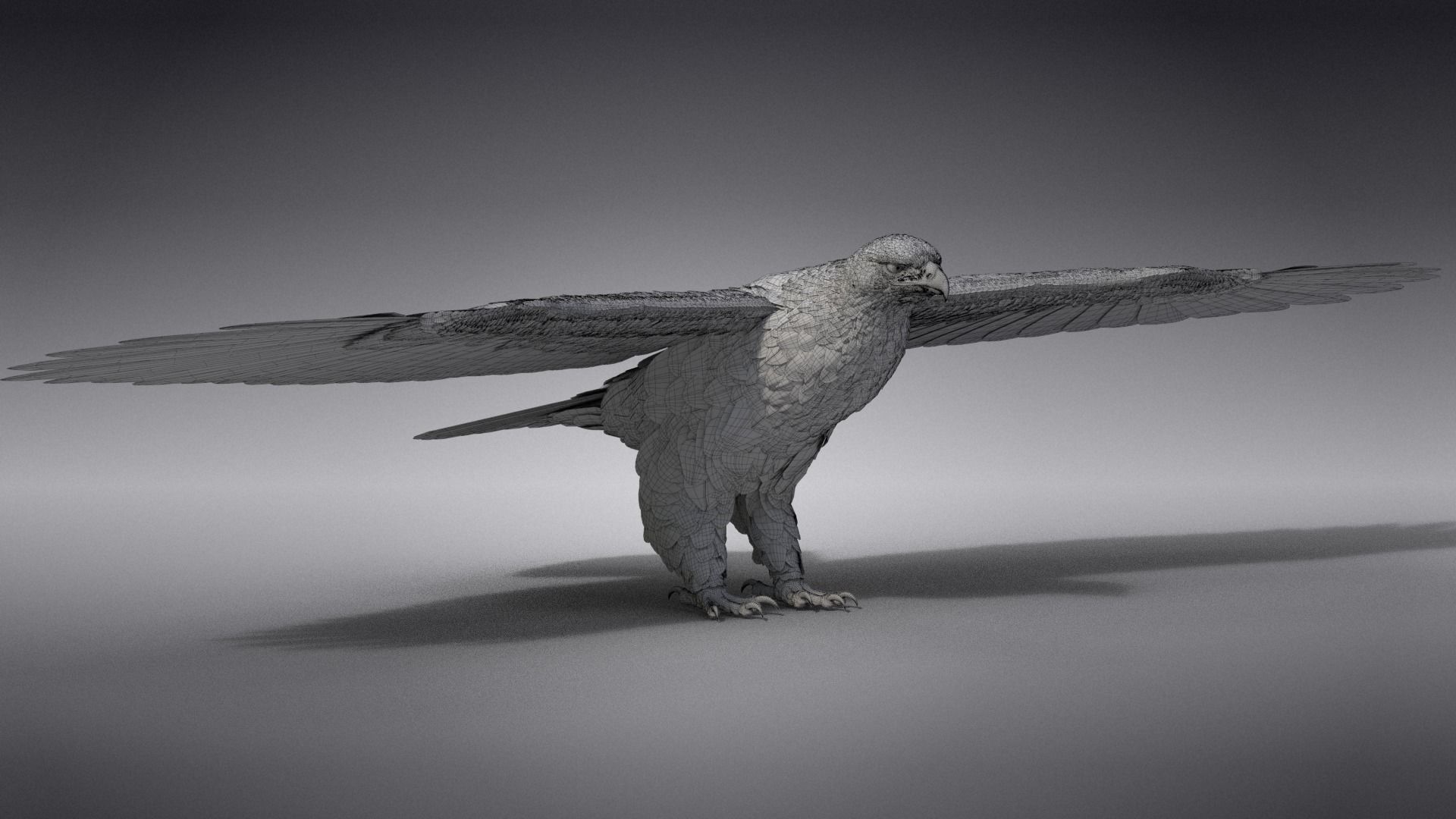Aquila Nipalensis Animated VFX Grace 3D model_38