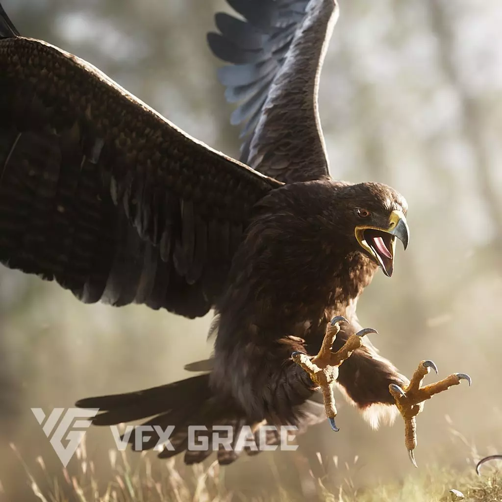 Aquila Nipalensis Animated VFX Grace 3D model_0