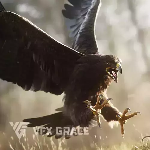 Aquila Nipalensis Animated VFX Grace 3D model