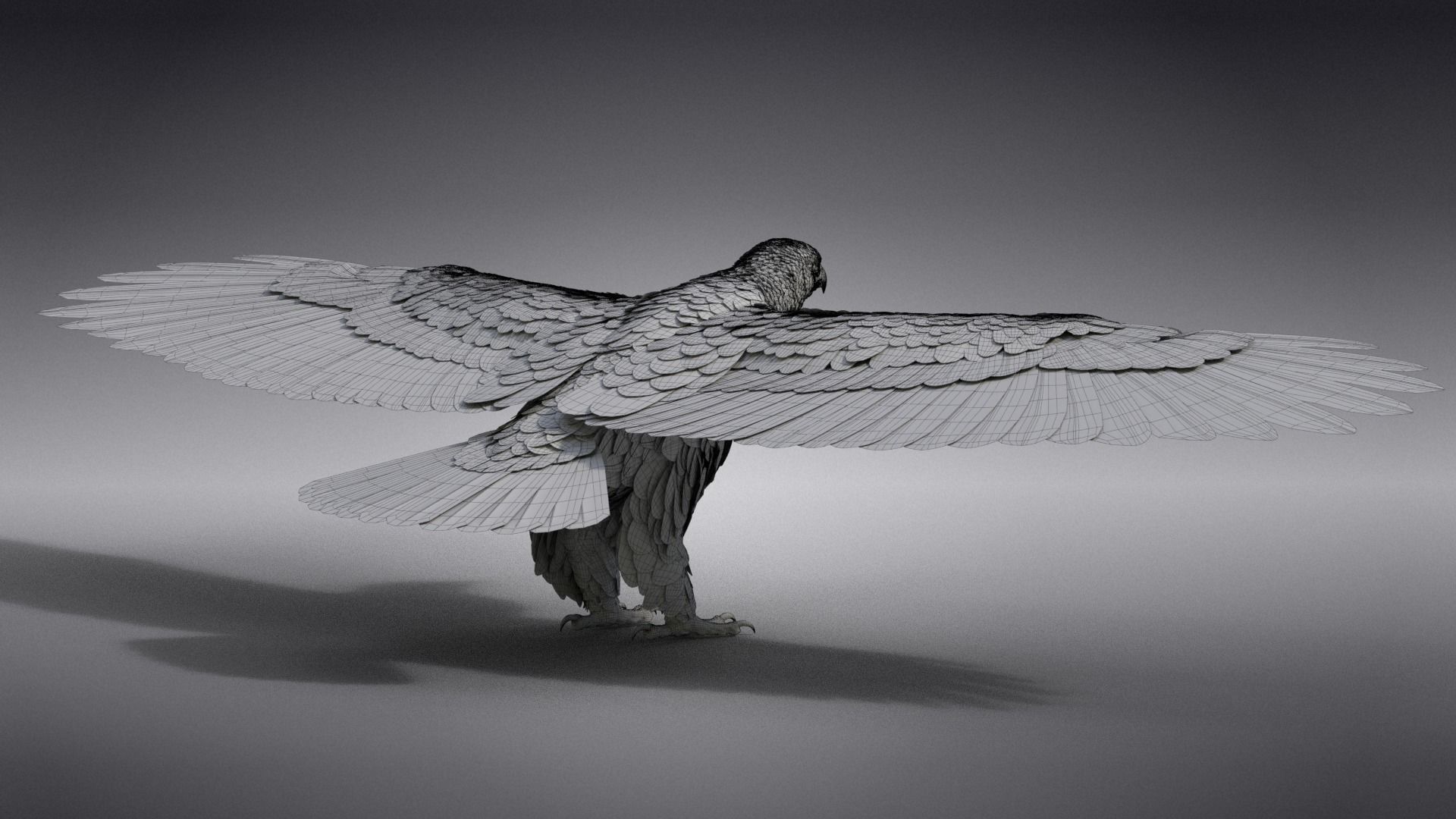 Aquila Nipalensis Animated VFX Grace 3D model_42