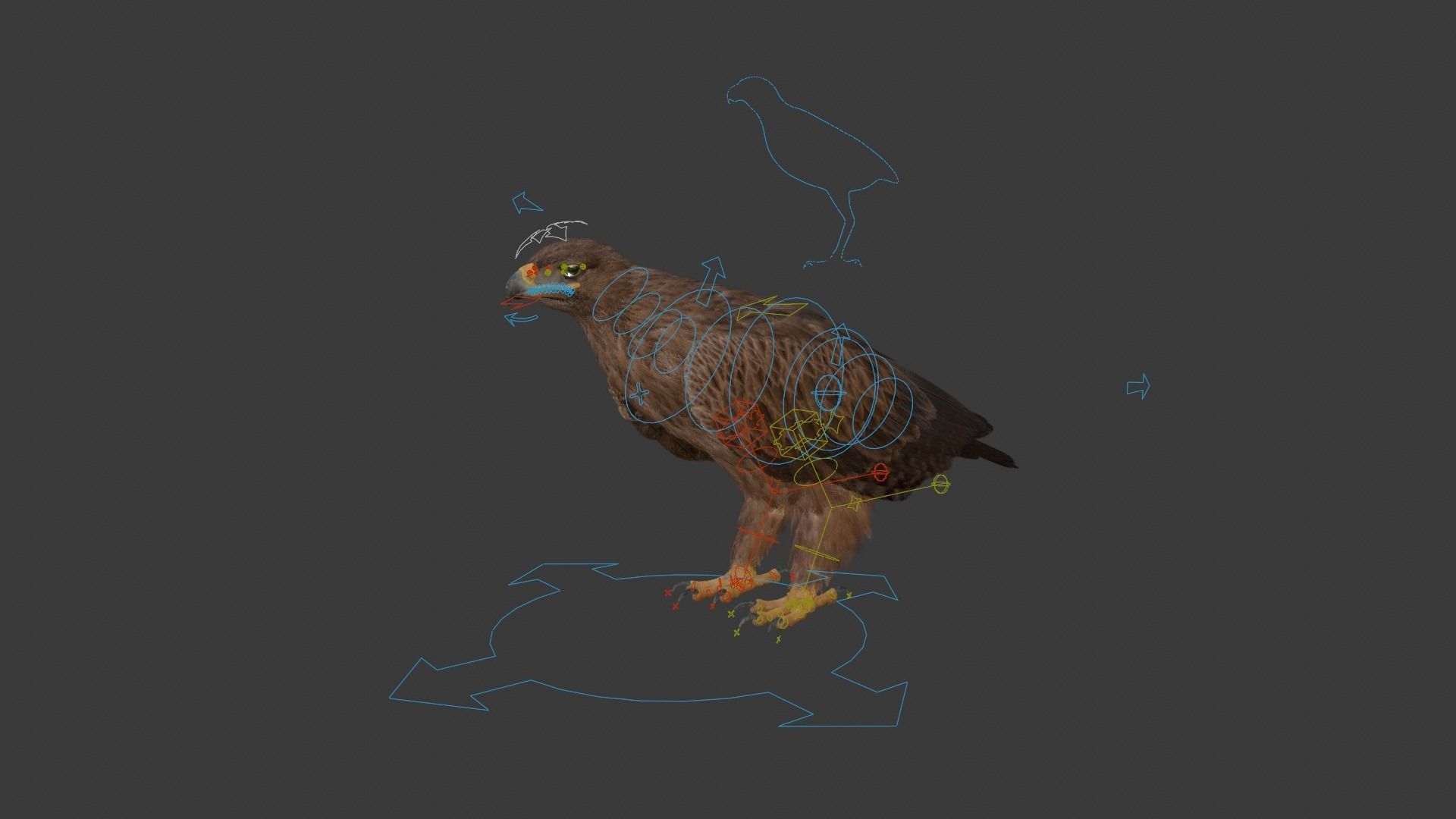 Aquila Nipalensis Animated VFX Grace 3D model_22
