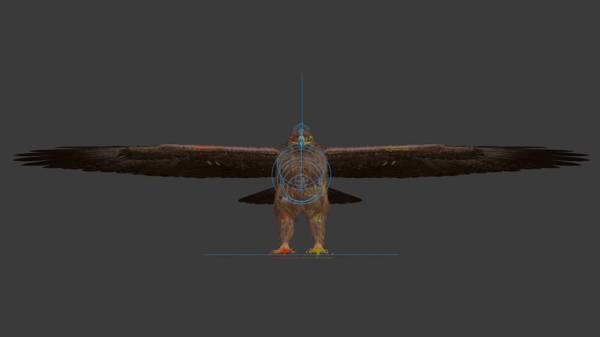 Aquila Nipalensis Animated VFX Grace 3D model_24