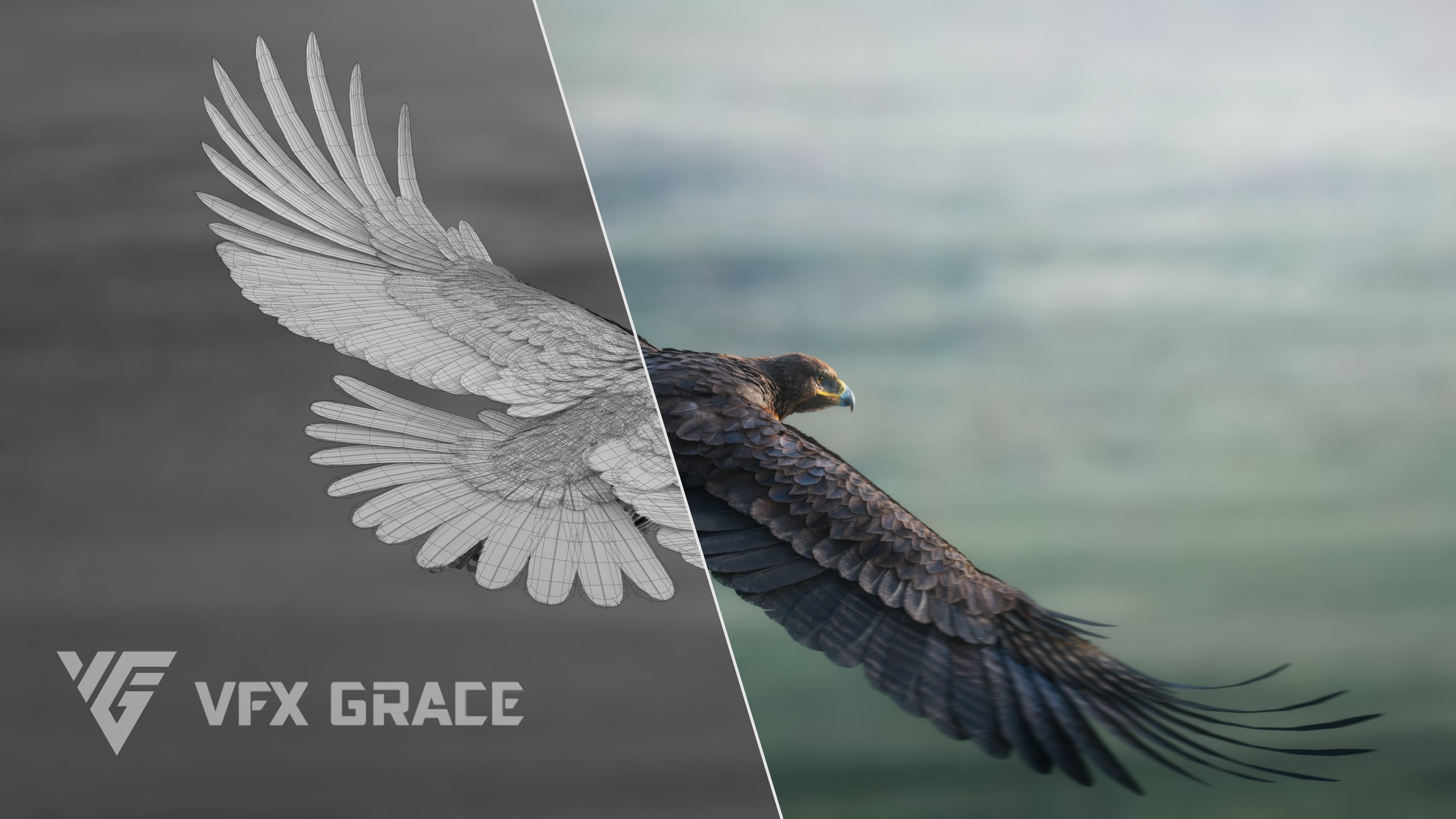Aquila Nipalensis Animated VFX Grace 3D model_9