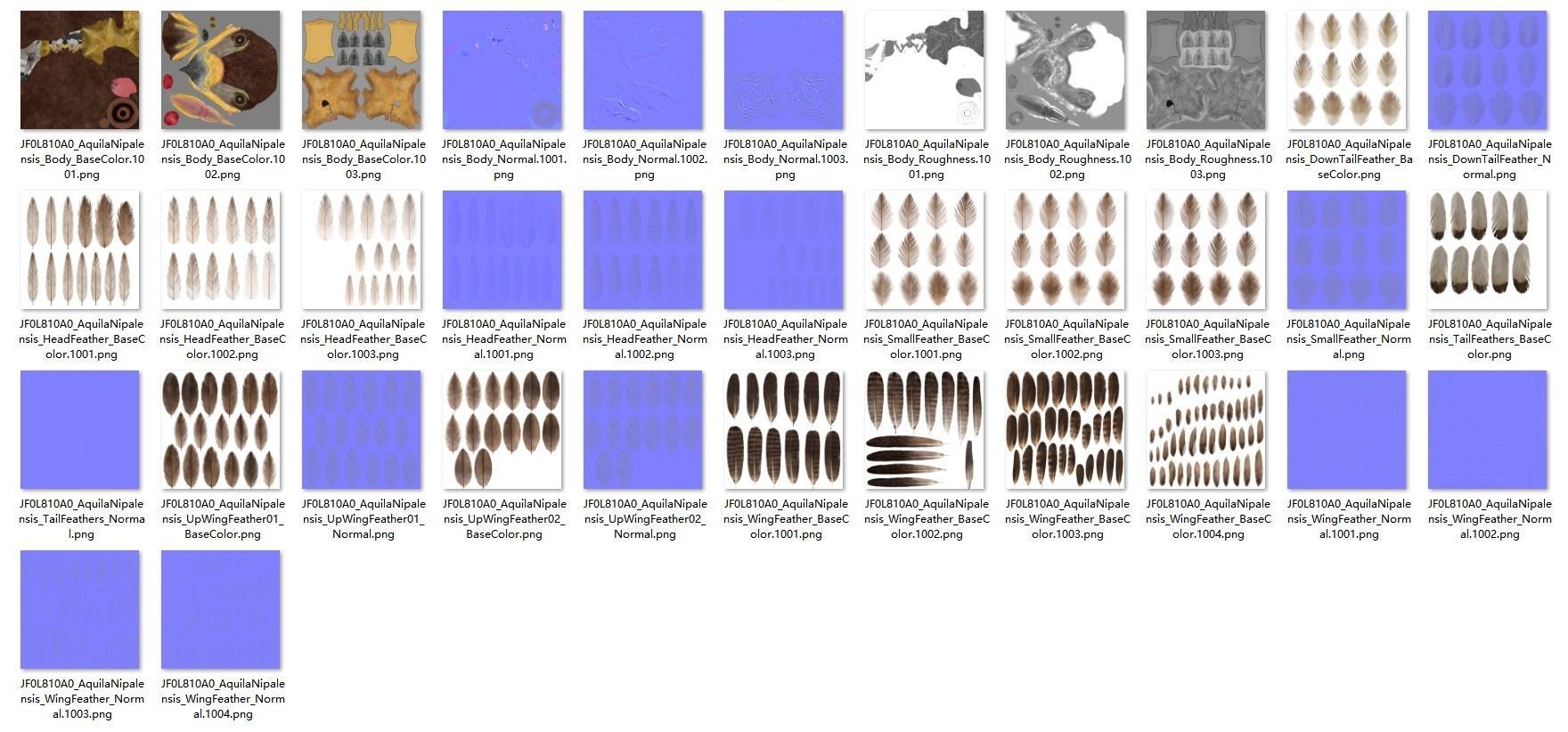 Aquila Nipalensis Animated VFX Grace 3D model_51