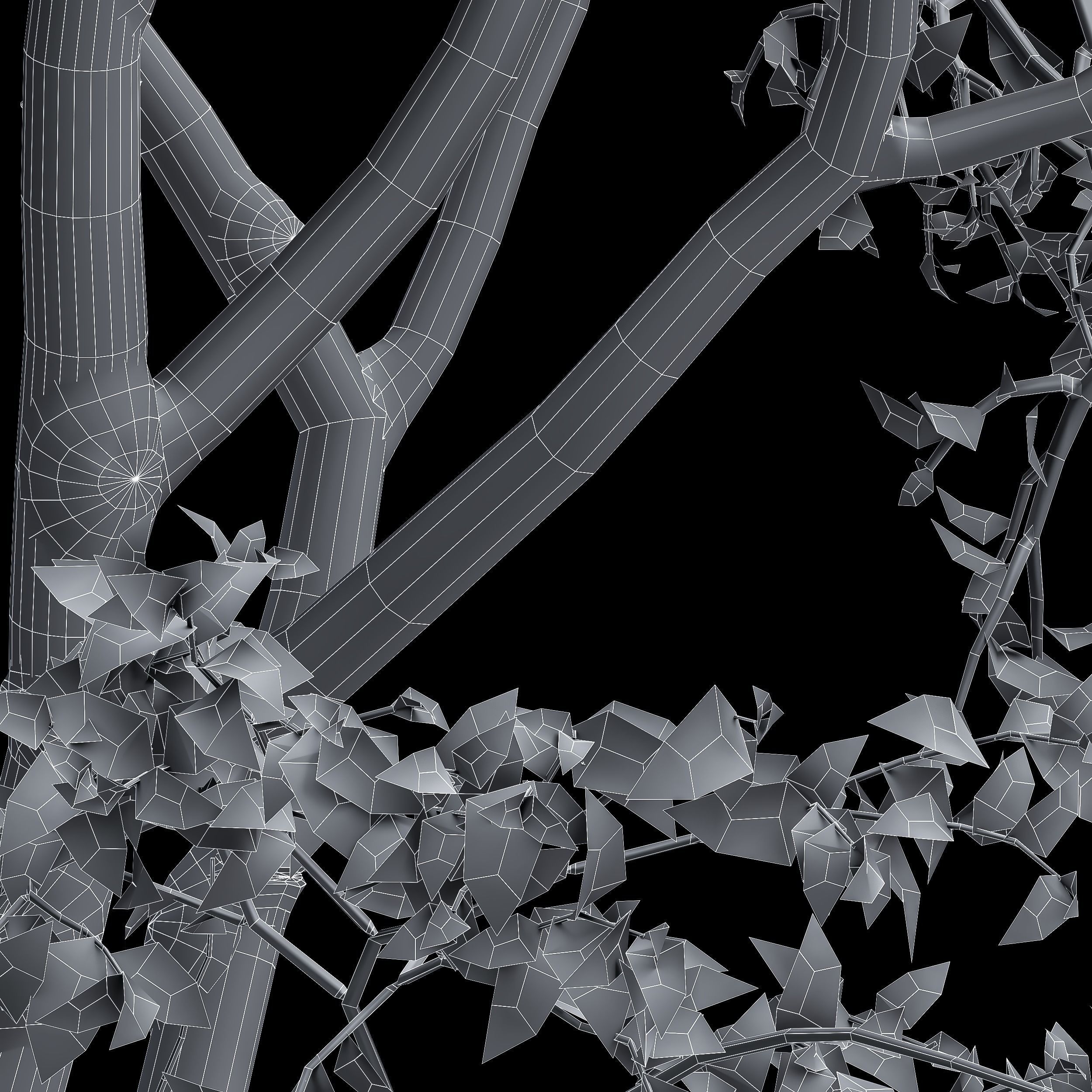 New Tree High detail Prunus Spinosa Summer 3D model_4