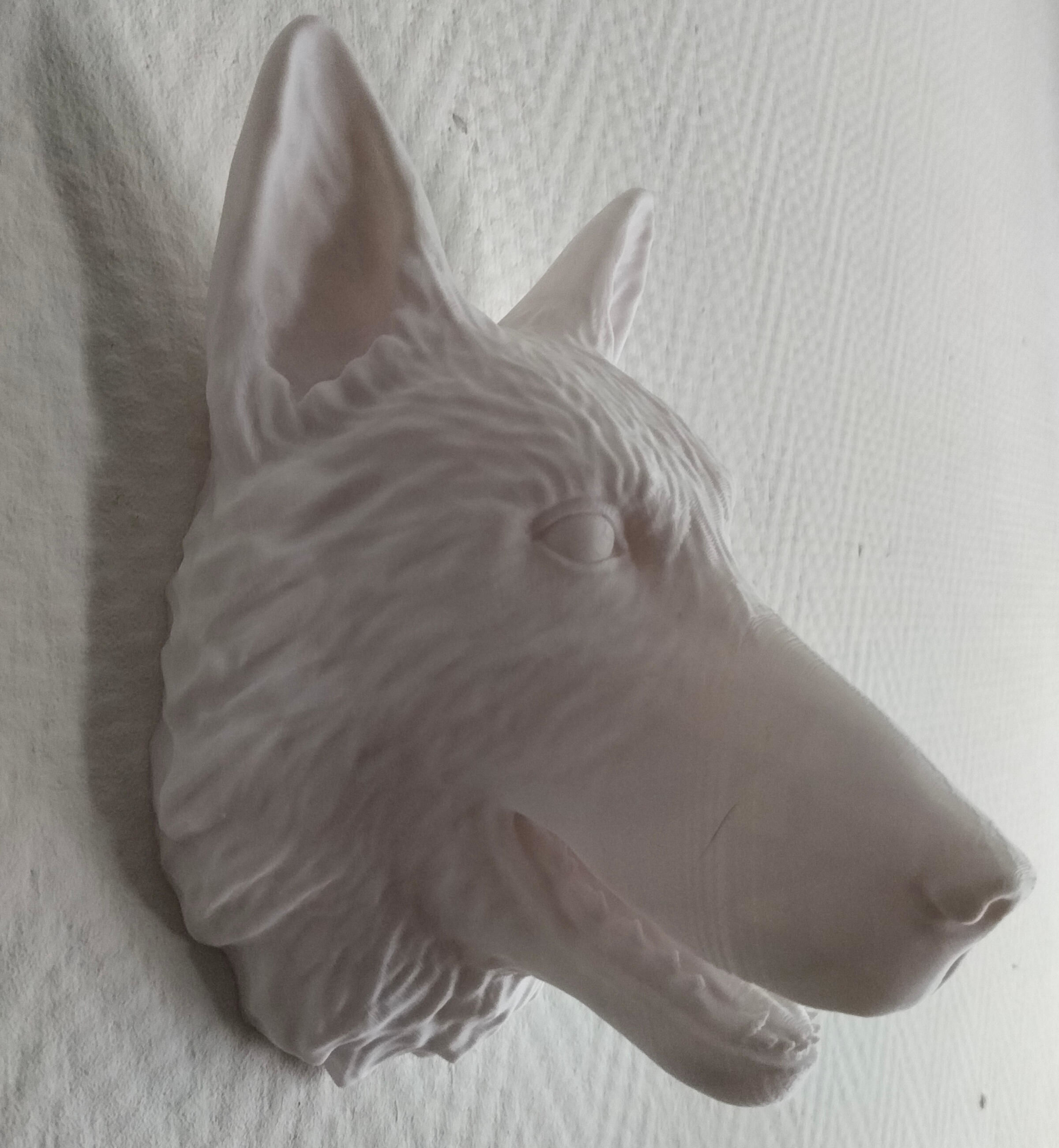 3D Print Wolf Shepherd dog Head 3D print model_5