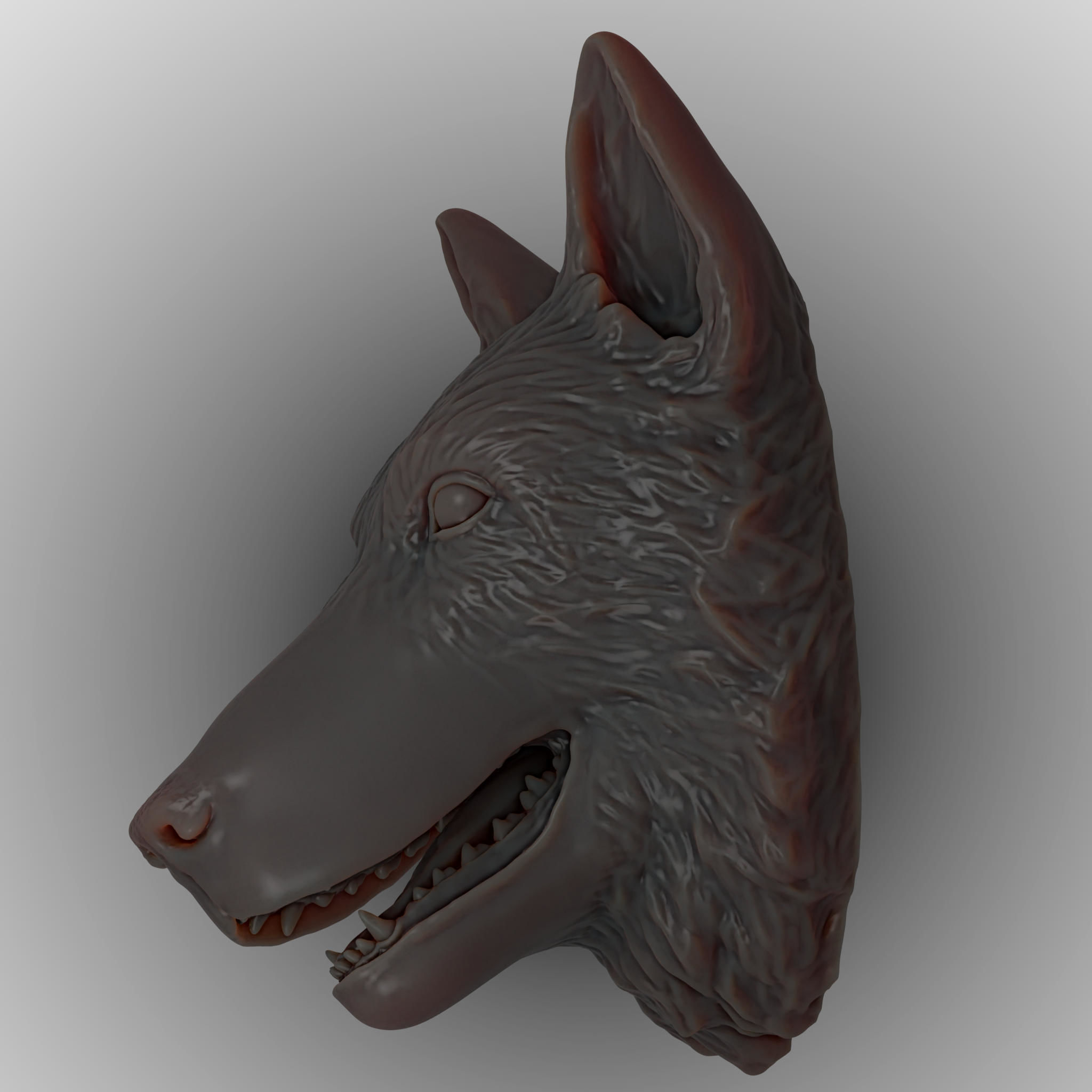 3D Print Wolf Shepherd dog Head 3D print model_2