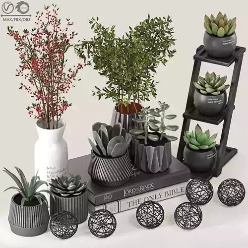 Decorative Cactus and plants set 01