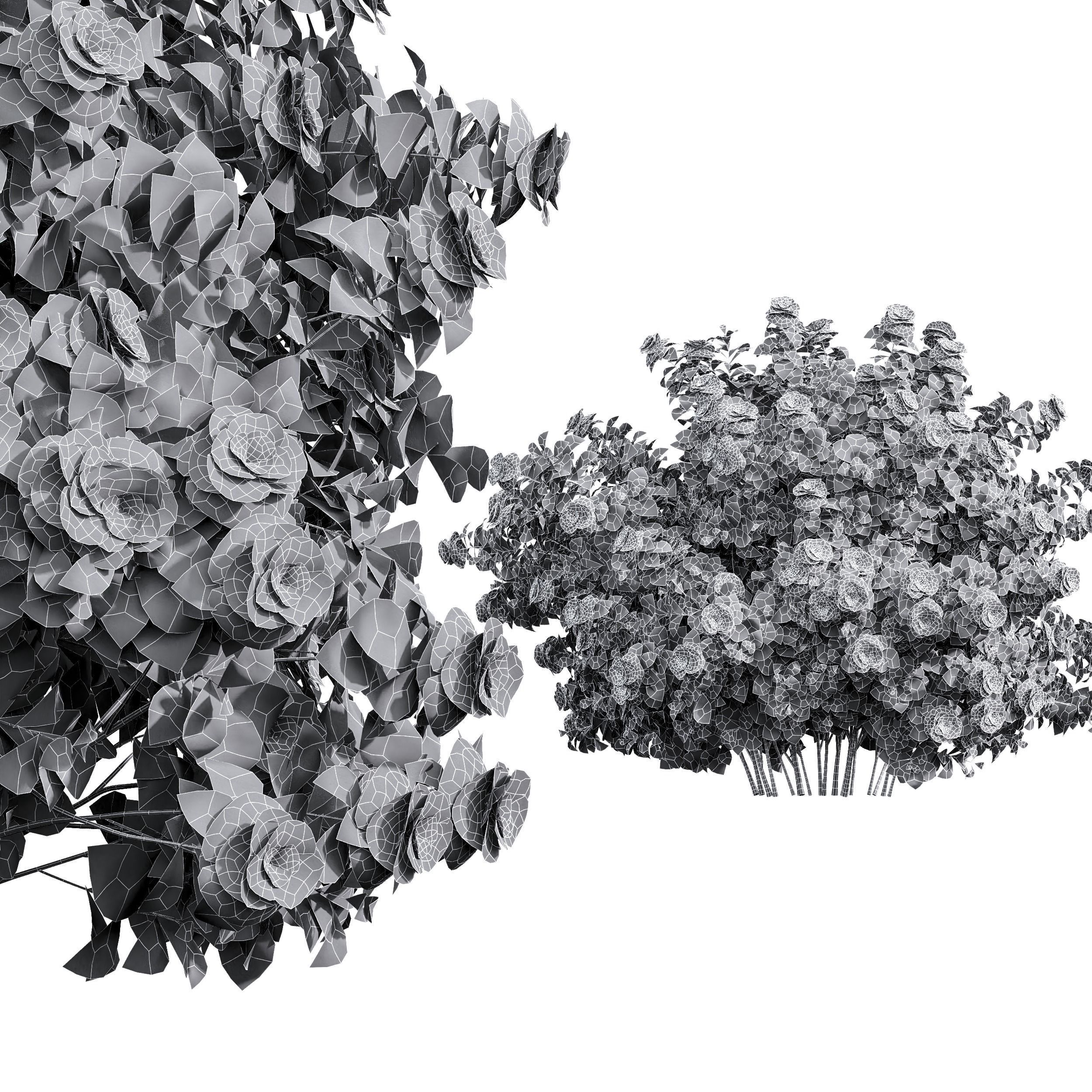 New Plant High detail Climbing Roses Bush 3D model_3