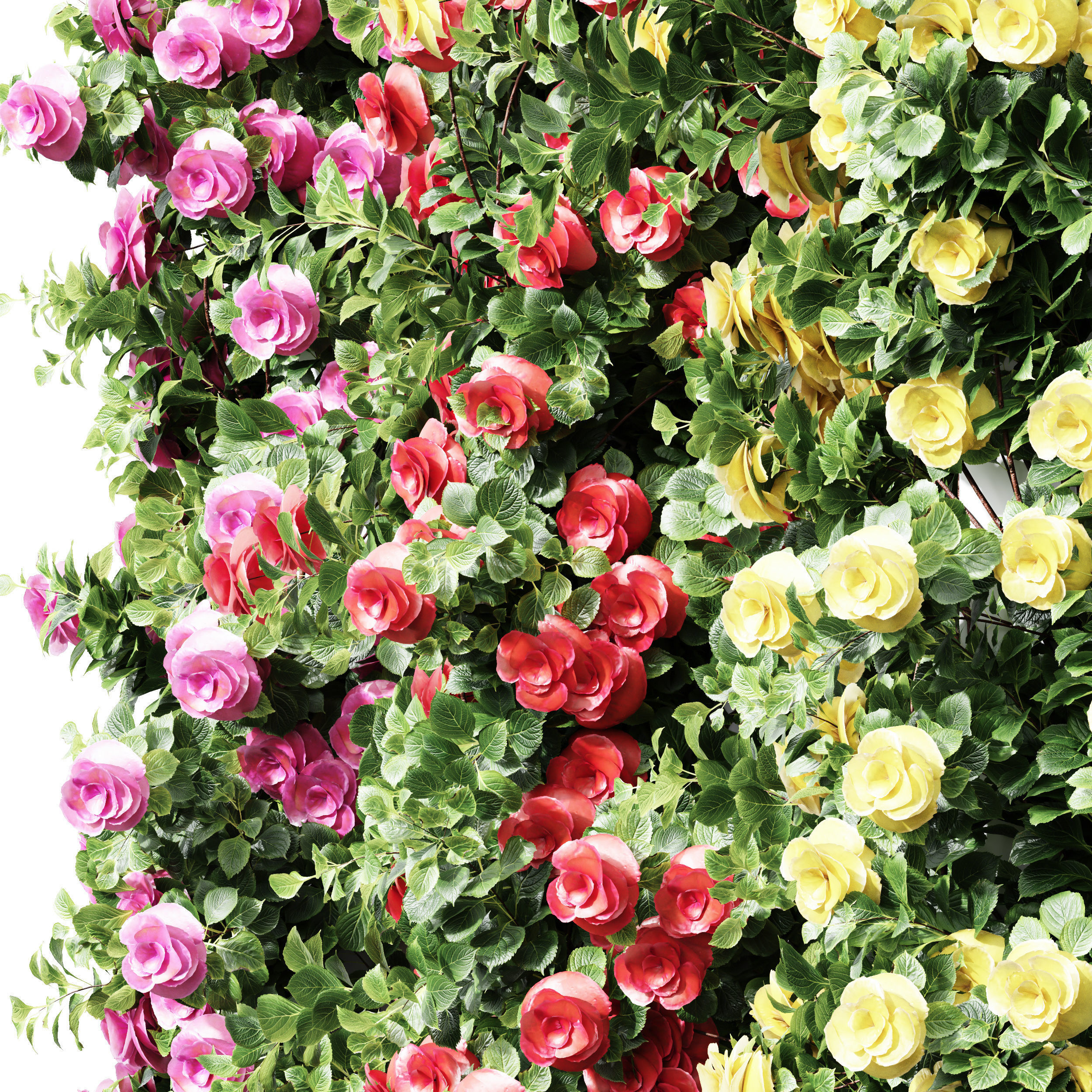 New Plant High detail Climbing Roses Cube Columns 3D model_1